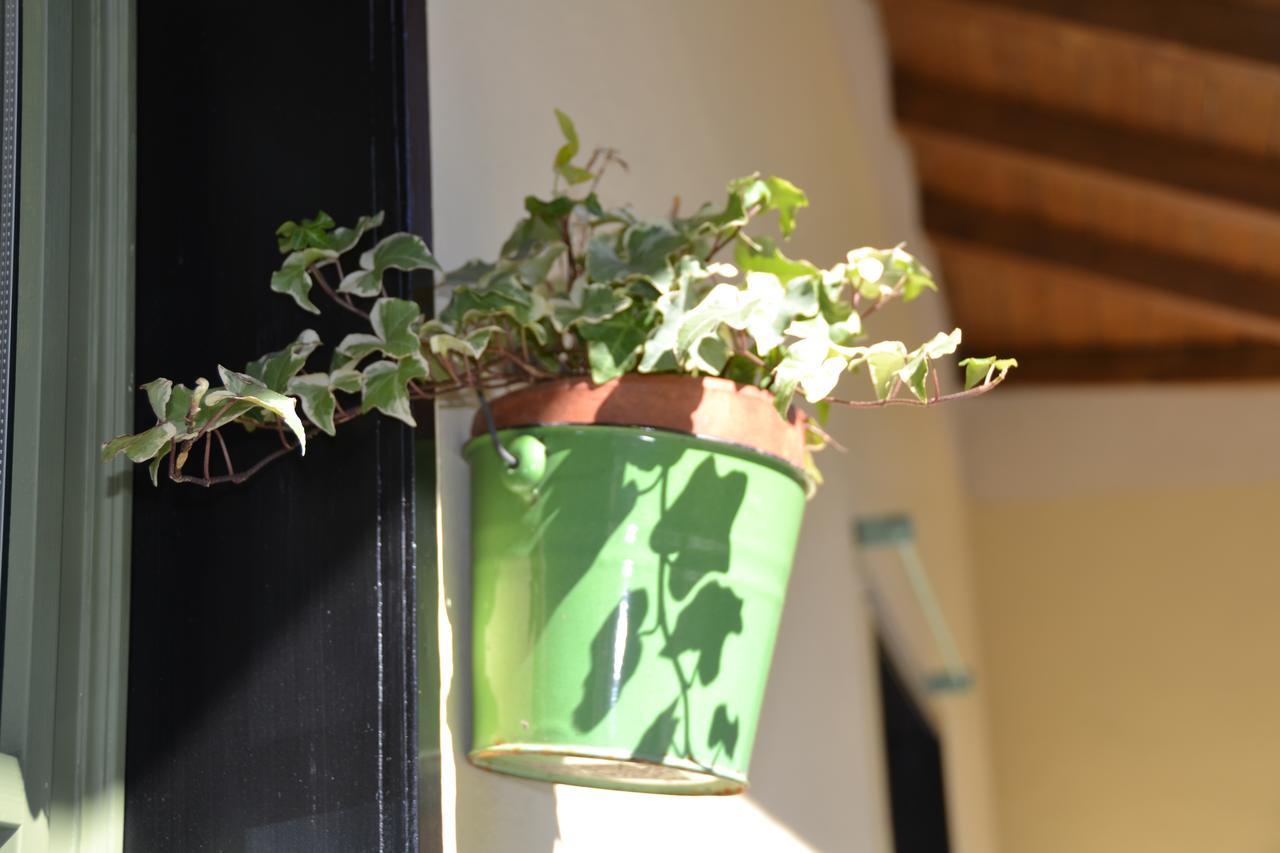 Casa Nina Bed & Breakfast Toirano Exterior foto