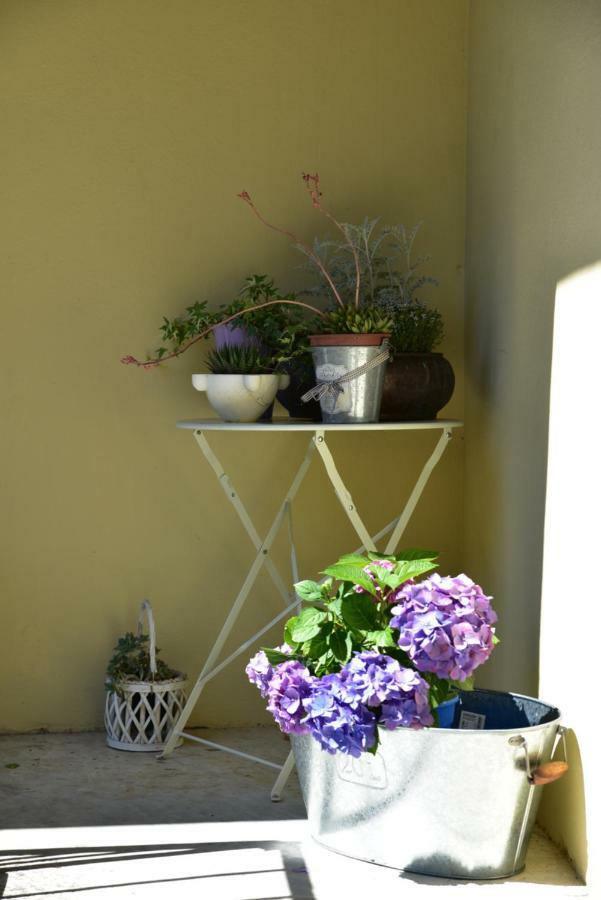 Casa Nina Bed & Breakfast Toirano Exterior foto